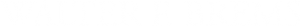 Walter Brems logo wit x2